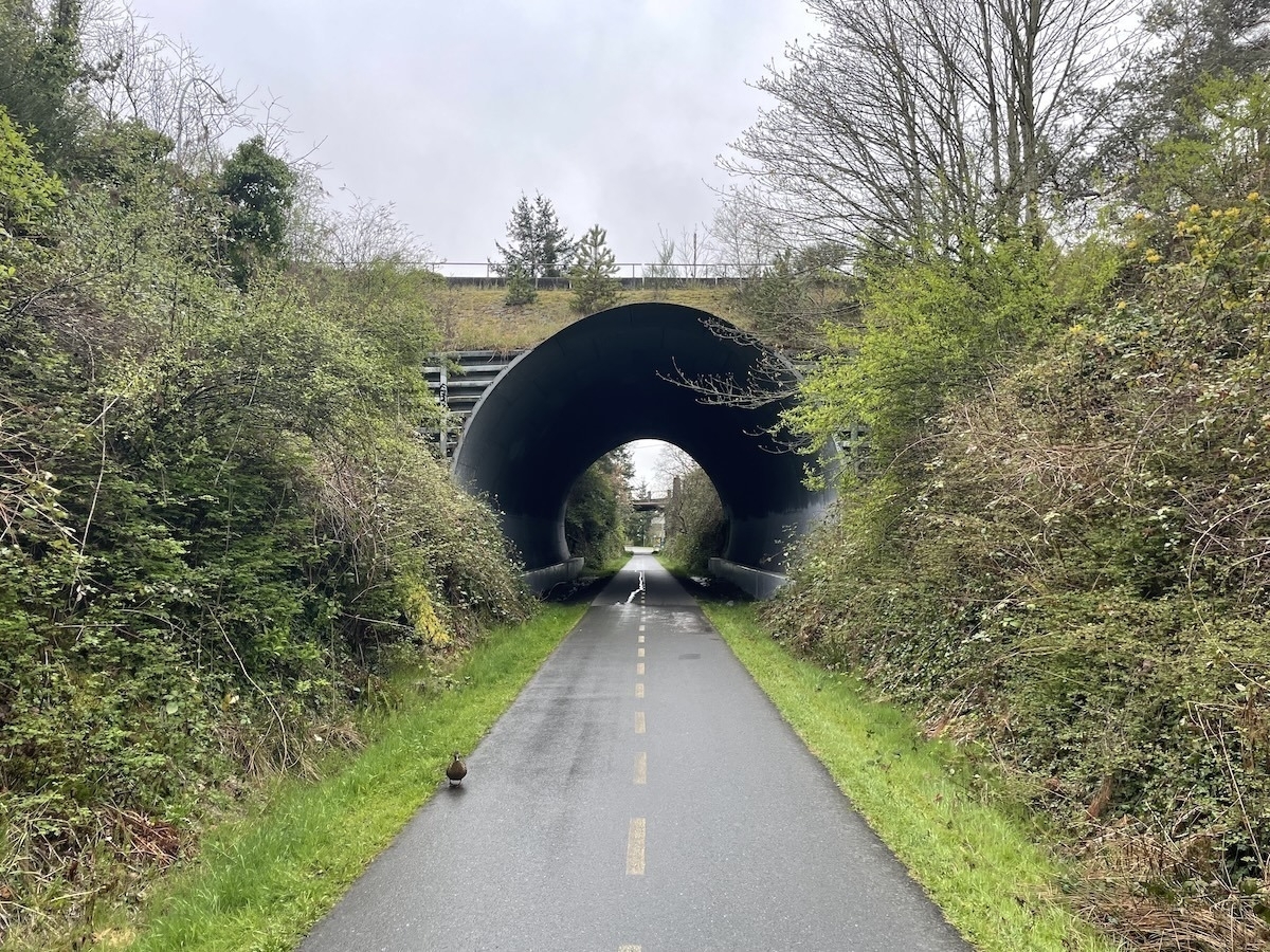 A running path in a cut with an oval tunnel just ahead. There is a duck on the path to the right.